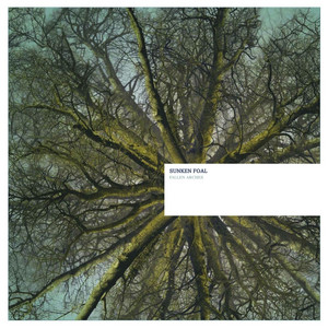 Dutch Elm cover