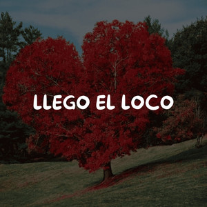 LLEGO EL LOCO by marlon guacho