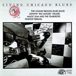How Much More Long by Pinetop Perkins
