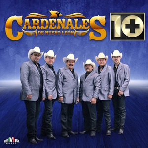 10+10 album
