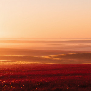 Saffron Sky by TIHLNXII