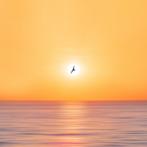 Alê Chaves - Suspense Sombrio