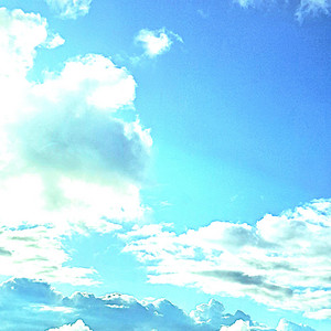 Infamous Arkives - Sorry Not Sorry (feat. Funbus & Snorkatje)