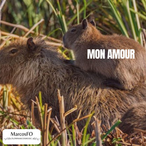 Mon Amour by MarcosFO