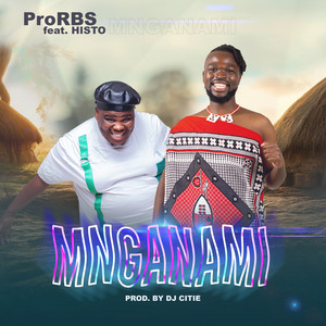 Mnganami by ProRBS, Histo