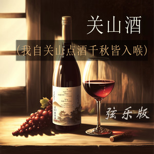 关山酒 (我自关山点酒千秋皆入喉) [弦乐版]