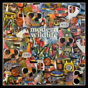 Cold New Light by Modern Wildlife
