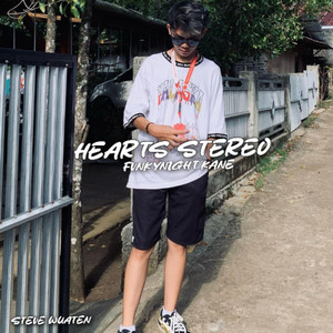 Hearts Stereo Fvnkynight Kane by Steve Wuaten