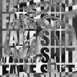 Fake $hit by $ly, Zanjani