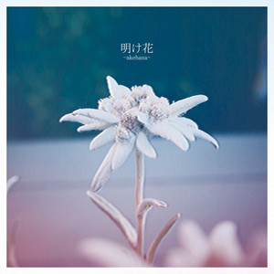 明け花 by Be my Girl