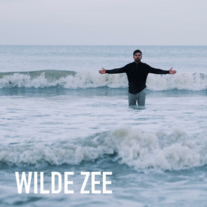 Wilde Zee by Mathias Vergels