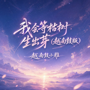 我会等枯树生出芽 - 越南鼓版 by 越南鼓小雅