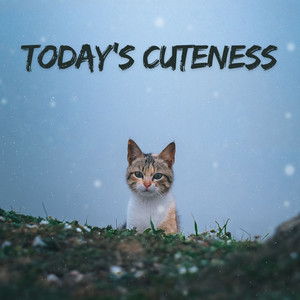 Today's Cuteness by Ted D'souza