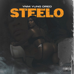 Portada de Steelo