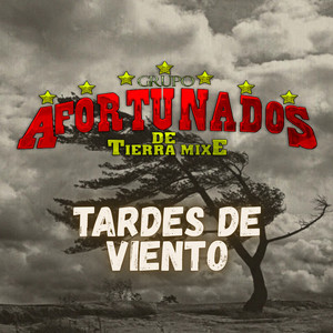 Grupo Afortunados De Tierra Mixe - Tardes De Viento