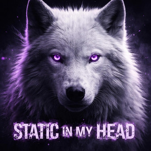 Static in my Head