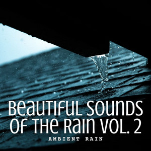 Ambient Rain: Beautiful Sounds of the Rain Vol. 2 album