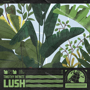 Timothy Infinite - Overflow