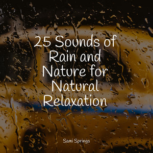 25 Sounds of Rain and Nature for Natural Relaxation album