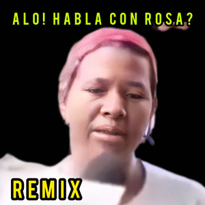 Dj Roderick - Alo! Habla Con Rosa? (Remix)