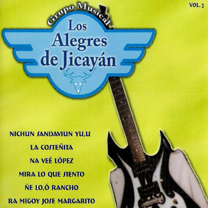 Los Alegres De Jicayan poster