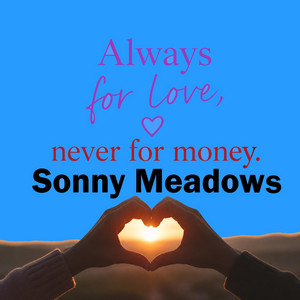 Where Was I by Sonny Meadows