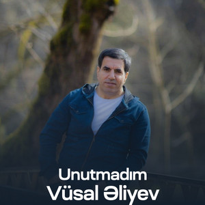 Vüsal Əliyev - Unutmadım