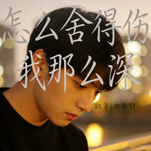 怎么舍得伤我那么深 - 大头针版 by 大头针