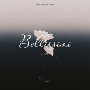 Bellissimi by Miriam van Steeg