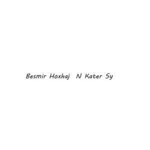 Besmir Hoxhaj