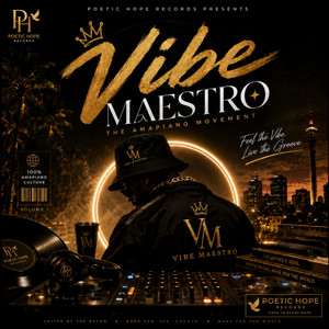 Vibe Maestro