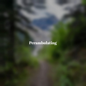 Perambulating
