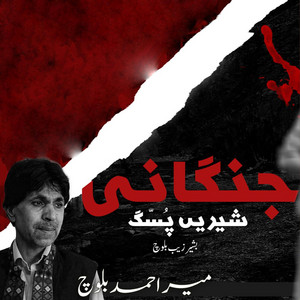 Shashan Production - Jangani Sheren Possag (Bashir Zaib)