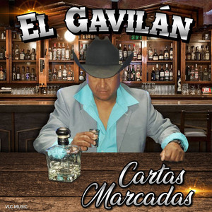 El Gavilan