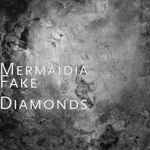 Fake Diamonds - Radio Edit by Mermaidia