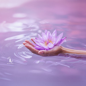 Soft Lotus Ritual