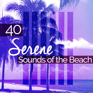 40Serene Sounds of the Beach album