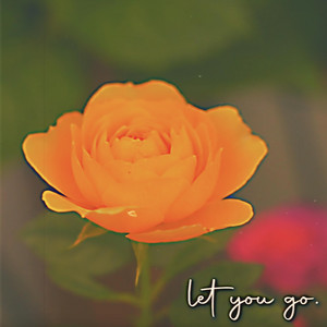 Let you go by Young Light
