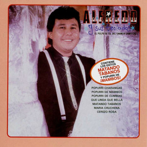 Alfredo El Pulpo Y Sus Teclados poster