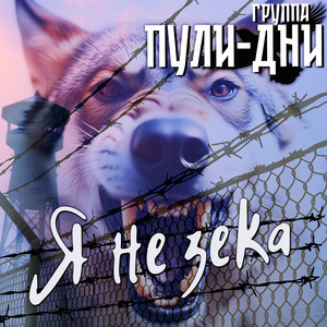 Я не зека by Группа Пули-Дни