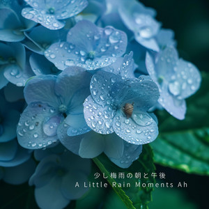 ただ雨のまま — Just Rain Ah - song and lyrics by YUI | Spotify