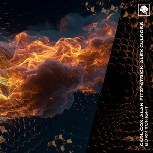Alan Fitzpatrick — Burn Tonight (2026)