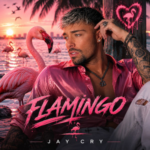 Flamingo by Jay Cry