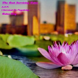 Perfect Plan by S.I.N., Lotus Key