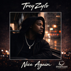 Nice Again by Trey Zylo