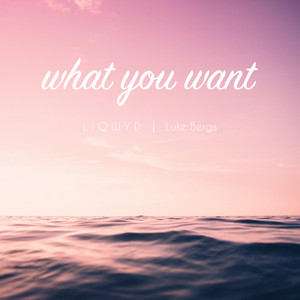 LiQWYD & Luke Bergs - What You Want