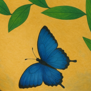 My Butterfly by Jonah Zane