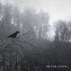 Silver Lining by Daniel Collier, USER ERROR