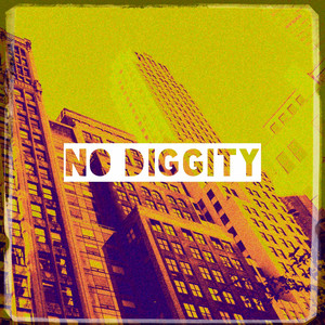 No Diggity album