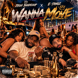 Wanna Move by Stash Bandicoop, E Fangz